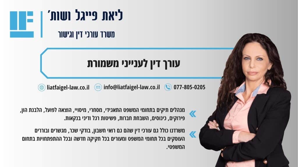 עורך דין לענייני משמורת